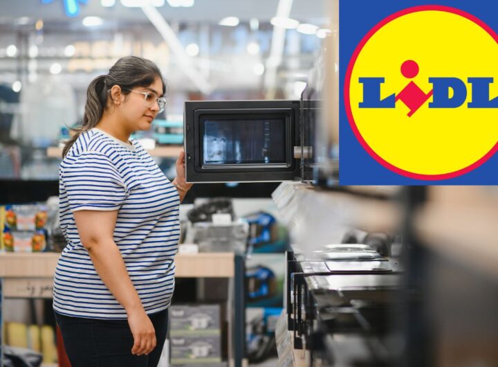 offerta lidl elettrodomestico da cucina
